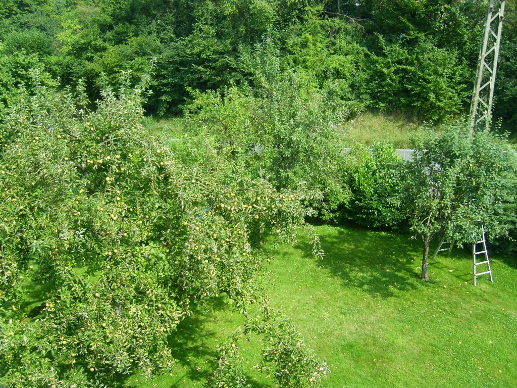 Ferienwohnung Ляйхлинген Номер фото